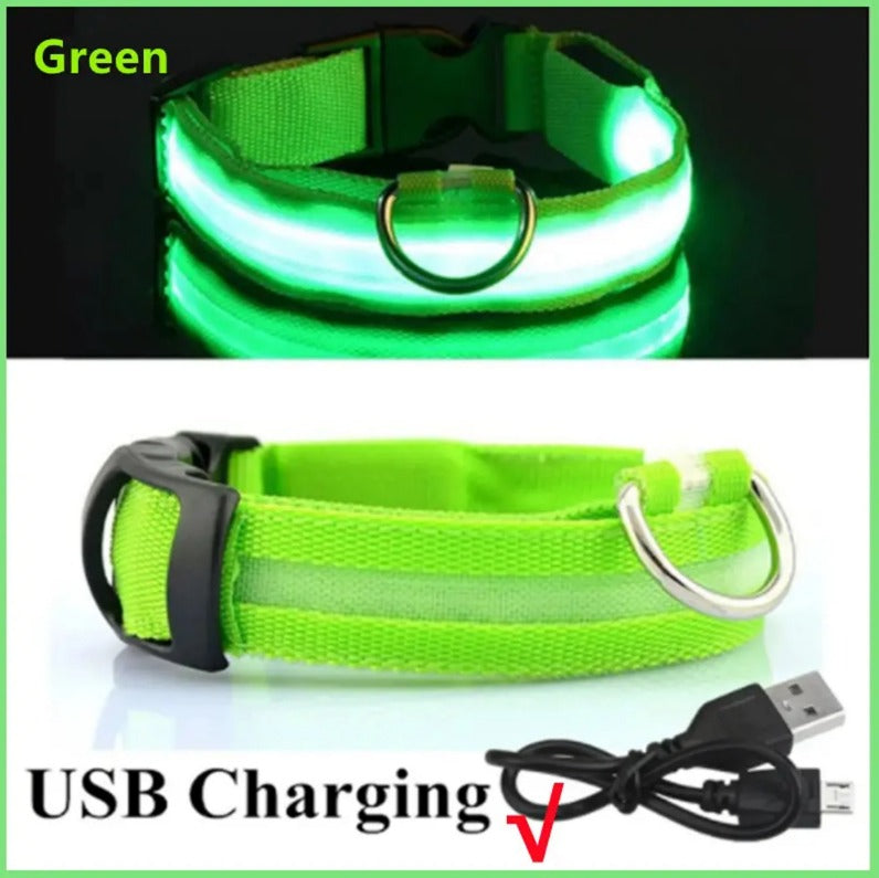 Electronic Pet LED Dog Collar – Rechargeable Safety Collar for Dogs - Trenduff