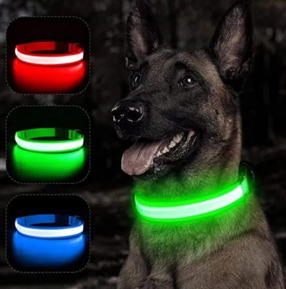 Electronic Pet LED Dog Collar – Rechargeable Safety Collar for Dogs - Trenduff