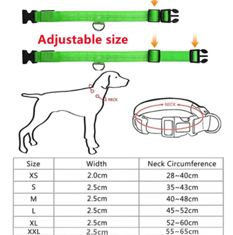 Electronic Pet LED Dog Collar – Rechargeable Safety Collar for Dogs - Trenduff
