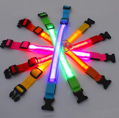 Electronic Pet LED Dog Collar – Rechargeable Safety Collar for Dogs - Trenduff