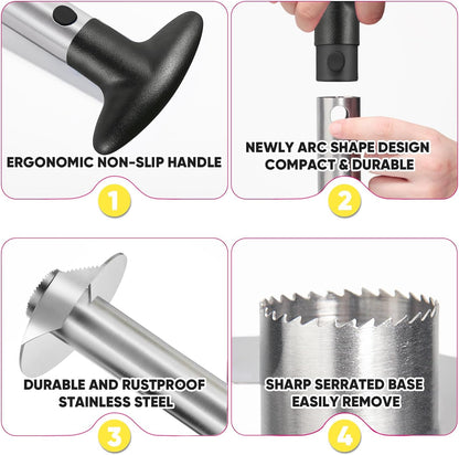 Premium Pineapple Corer – Stainless Steel Easy Slice Tool - Trenduff