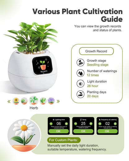 Smart Flower Pot Robot – Self-Watering Emoji Plant Care Planter - Trenduff