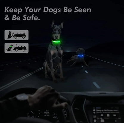 Electronic Pet LED Dog Collar – Rechargeable Safety Collar for Dogs - Trenduff