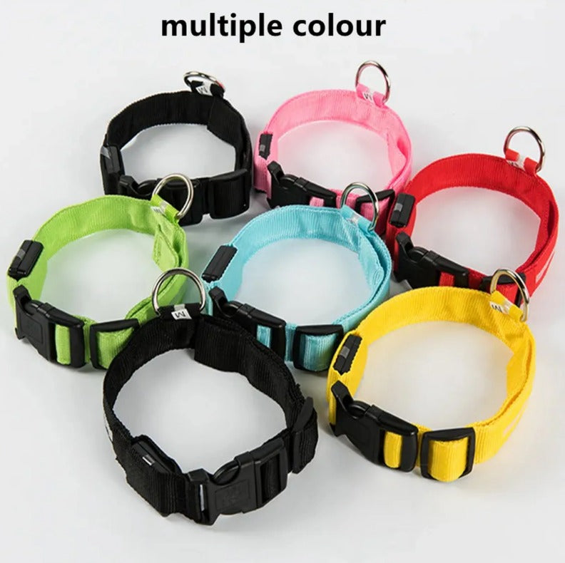 Electronic Pet LED Dog Collar – Rechargeable Safety Collar for Dogs - Trenduff