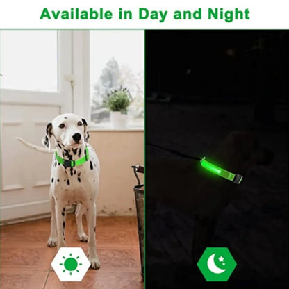 Electronic Pet LED Dog Collar – Rechargeable Safety Collar for Dogs - Trenduff