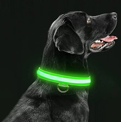 Electronic Pet LED Dog Collar – Rechargeable Safety Collar for Dogs - Trenduff