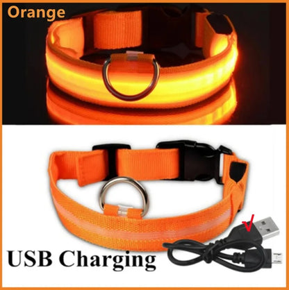 Electronic Pet LED Dog Collar – Rechargeable Safety Collar for Dogs - Trenduff